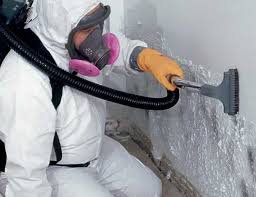 Best Real Estate Mold Inspection  in Calumet City, IL